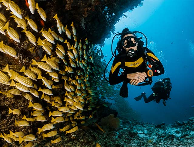 A scuba diver exploring the vibrant underwater world off the coast of Goa.